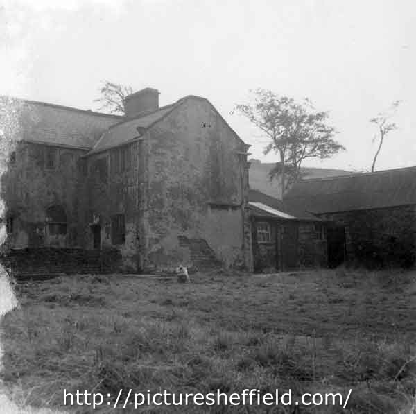 Searching Picture Sheffield