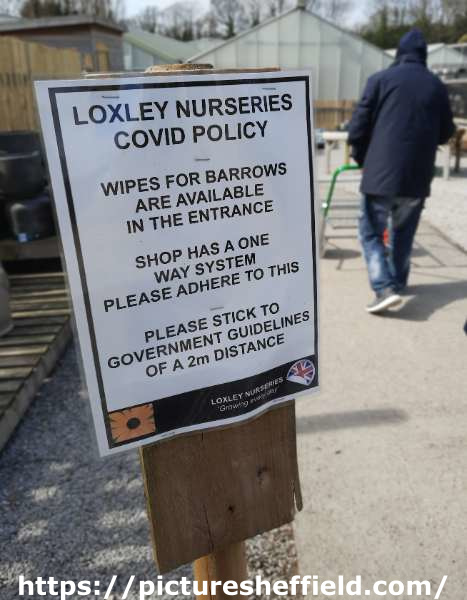 Covid-19 pandemic: Loxley Nurseries