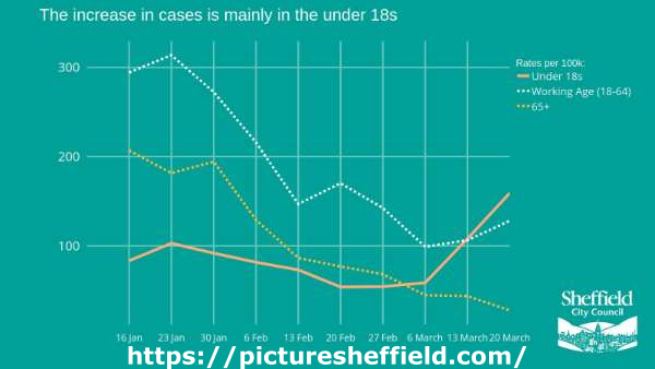 Covid-19 pandemic: Sheffield City Council graphic - The increase in cases is mainly in the under 18s