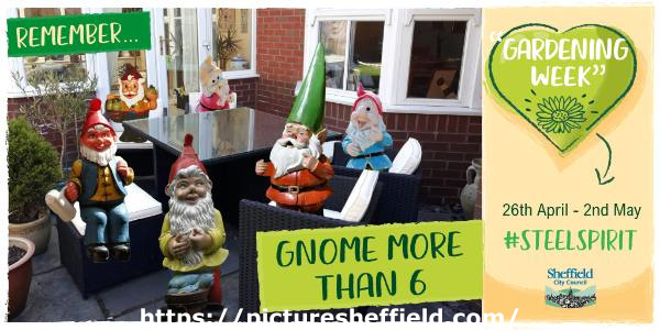 Covid-19 pandemic: Sheffield City Council graphic - #steelspirit - Gardening Week, 26th April - 2nd May- Remember Gnome more than 6