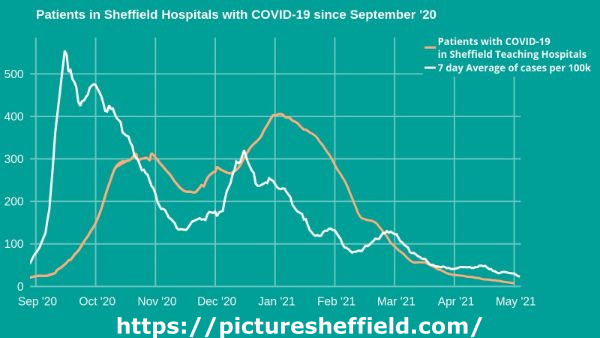 Covid-19 pandemic: Sheffield City Council graphic - patients in Sheffield hospitals with Covid19 since September [2020]
