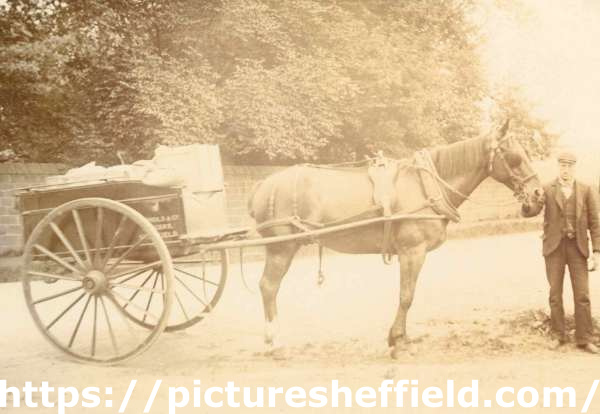 Horse drawn dray used for deliveries of produce of Nichols and Co., wholesale grocers and tea, coffee and fruit merchants