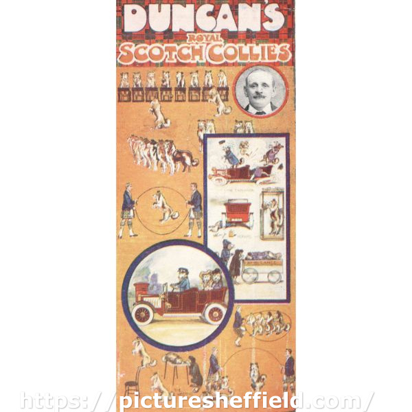 Postcard advertising Duncan's Royal Scotch collies