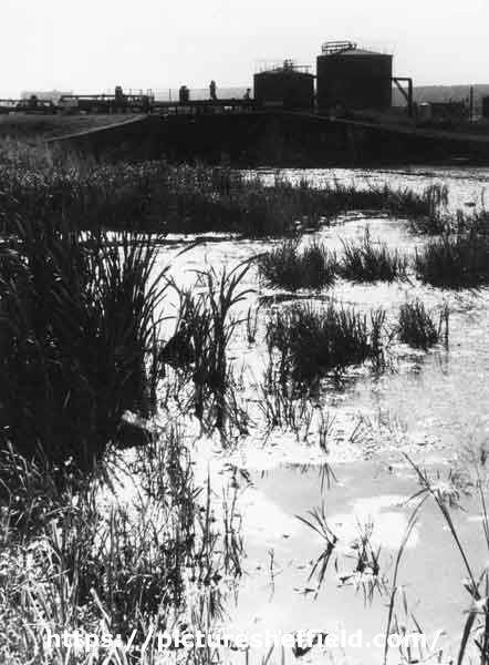 SYK Navigation, Tinsley Locks