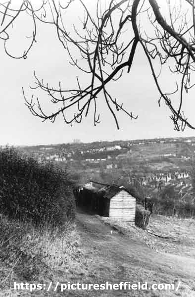 Searching Picture Sheffield
