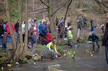 Endcliffe Park charity duck race, which took place on Easter Monday