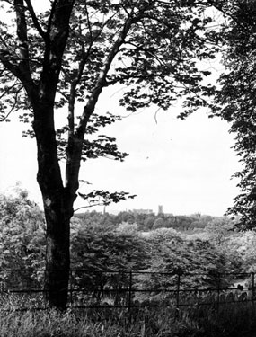 View from Sheffield General Cemetery towards St George's Church and Jessops Hospital.