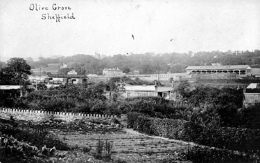 Olive Grove Road from Queen's Road Gardens, Sheffield Wednesday Football Ground in background