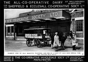 Milk despatch platform and milk dray, Sheffield and Ecclesall Co-operative Society Ltd,'s., New Model Dairy at Archer Road, Millhouses