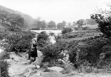 Looking towards Holme Head Wheel and Dam, River Rivelin. Earliest mention is the lease in 1742, for 21 years to Nicholas Morton and William Shaw. By 1905, The Waterworks had acquired the wheel and it was reported to be in good condition