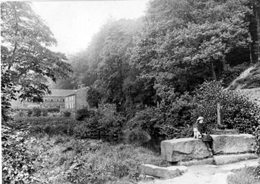 Outlet at Roscoe Wheel Mill, Rivelin Valley, Roscoe Cottages (occupied by the wheel grinders) can also be seen