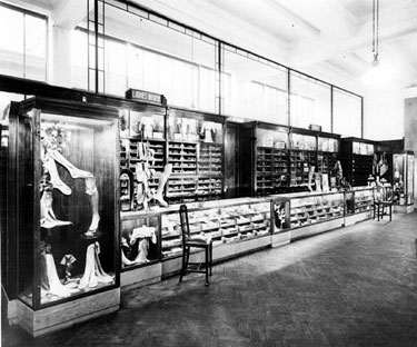 Hosiery Department, Brightside and Carbrook Co-operative Society Ltd., City Stores, Exchange Street