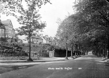 Whiteley Wood Road, looking from the gate of No. 22 along the top part of Whiteley Wood Road towards the junction of Hangingwater Road opposite the allotments.