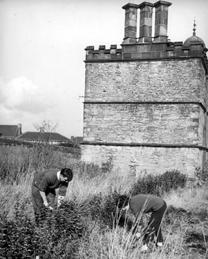 Archaeological dig at Sheffield Manor House, off Manor Lane. Turret Lodge in background