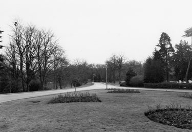 The Drive, Middlewood Hospital grounds leading up to the Administration block, Middlewood Hospital 