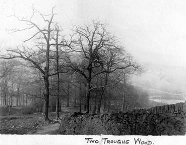 Reaps Wood, referred to as Two Troughs Wood on picture