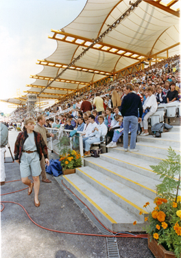 Spectators in the Grandstand, The McVities Challenge, Don Valley Stadium 