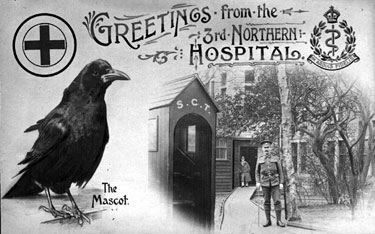 Christmas Card showing Mascot from 3rd Northern General Base Hospital, Broomhall, World War I