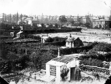 Allotments off Hanover Street, looking towards Broomspring Lane, 1855-1860, photographed by Arthur Hayball from his house in Hanover Street