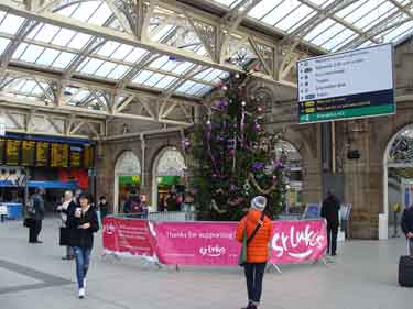Christmas tree on station concourse, Sheffield Midland railway station, Sheaf Street