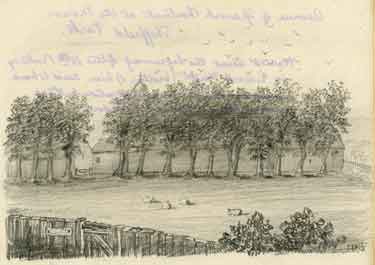Avenue of Spanish Chestnuts (trees) at the Manor Sheffield Park sketched by John Holland Brammall (when a boy)
