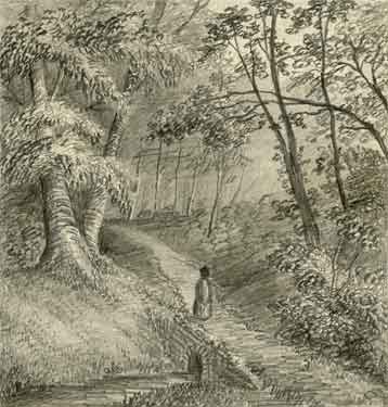 The Manor Wood, sketched by John Holland Brammall (when a boy)