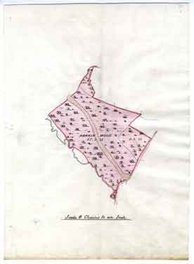 Parkin Wood, c. 1850