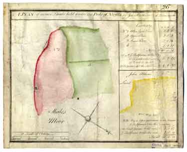 Plan of certain lands (Allen Street, Sheffield) held under the Duke of Norfolk by John Redfern and the widow Spooner