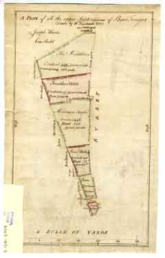 Plan of all the upper subdivisions of Shaw Tongue [a triangular field, now the site of Snow Lane]