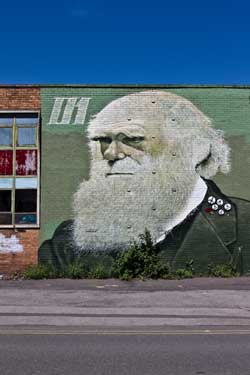 Grafitti / street art, Charles Darwin, Sidney Street by Rocket01