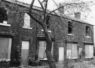 Derelict properties behind Bradfield Road, Hillsborough