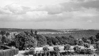 View of Endcliffe Woods from Ecclesall Road South looking towards Norton and Woodseats