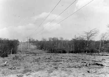 Smithy Wood, Ecclesfield showing the YEB power line