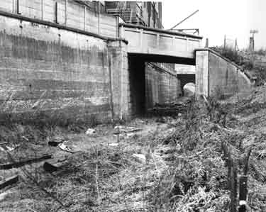 Railway land, formerly part of Nunnery sidings, adjoining the Sheffield Corporation Abattoir, Cricket Inn Road
