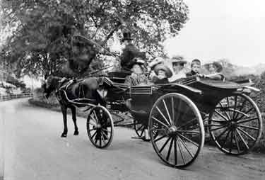 Horse drawn carriage showing Mrs M. Fox's family from Shepsand