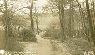 Approach to Ecclesall Woods from Millhouses Lane