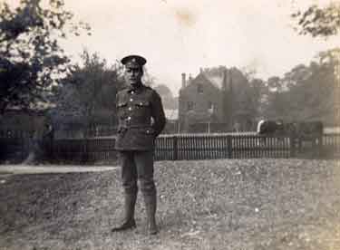 Reville / Walton family. First World War soldier