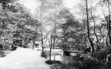 Wooden footbridge in Endcliffe Woods