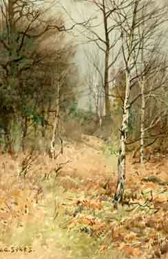 Beeley Wood by John Gutteridge Sykes (1866 - 1941), a member of the Sheffield Society of Artists