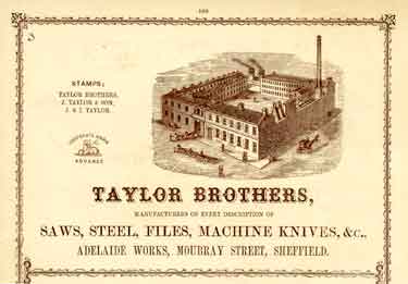 Advertisement for Taylor Brothers, manufacturers of saws, steel, files, machine knives, etc., Adelaide Works, Mowbray Street  