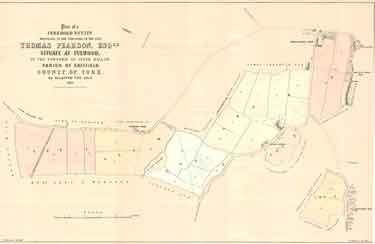 Plan of a freehold estate belonging  to the executors of the late Thomas Pearson esquire, situate at Fulwood, in the township of Upper Hallam ... allotted for sale