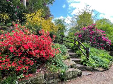Whinfell Quarry Garden, Sheffield