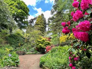 Whinfell Quarry Garden, Sheffield