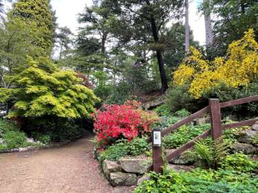 Whinfell Quarry Garden, Sheffield