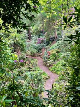 Whinfell Quarry Garden, Sheffield