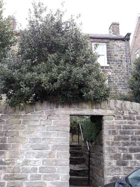 Cottage and garden wall, Cherry Bank Road
