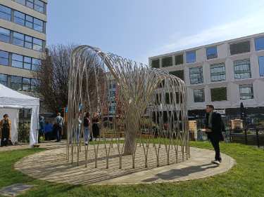 Covid Pandemic Memorial Tree, Balm Green Gardens, Covid Memorial Day, 2025