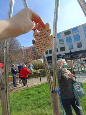 Covid Pandemic Memorial Tree in Balm Green Gardens, Covid Memorial Day, 2025 