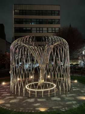 Covid Pandemic Memorial Tree in Balm Green Gardens, Covid Memorial Day, 2025 
