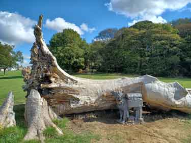 Cast iron sculpture in Graves Park, created to commemorate the much-loved &lsquo;Lone Tree&rsquo; that fell during Storm Elin in December 2023